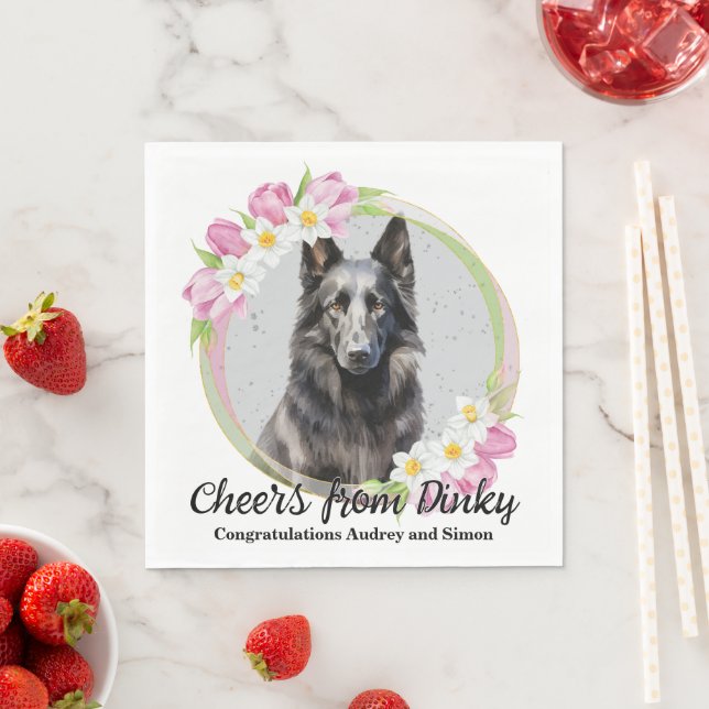 Guardanapo De Papel Casamento Belga De Cachorro De Cachorro Em Nápoles (Insitu)