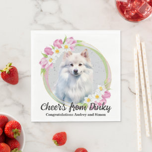 Guardanapo De Papel Casamento De Cachorro Esquimó Em Nápoles Com Foto 