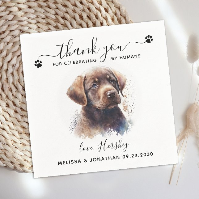 Guardanapo De Papel Casamento De Cães Obrigado Chocolate Labrador Pupp (Criador carregado)