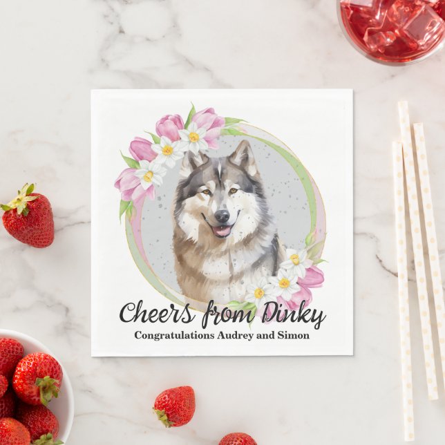 Guardanapo De Papel Casamento Fotográfico de Cachorro Malamute no Alas (Insitu)