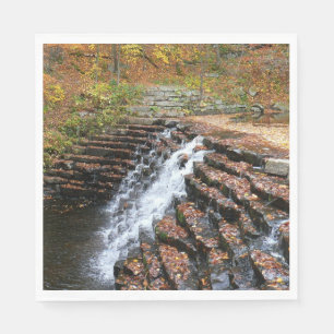 Guardanapo De Papel Cascata em Laurel Hill State Park II