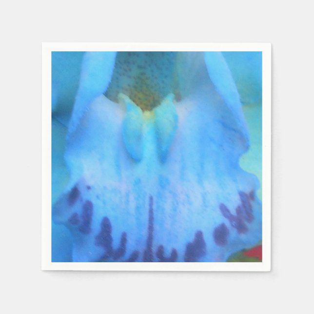 Guardanapo De Papel Catelijne (Frente)