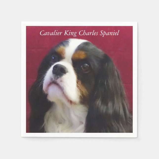 Guardanapo De Papel Cavalier King Charles Spaniel Cocktail Napkins (Frente)