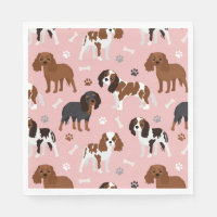 Cavalier King Charles Spaniel Paws e Bones