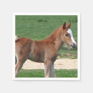 Guardanapo De Papel Cavalo