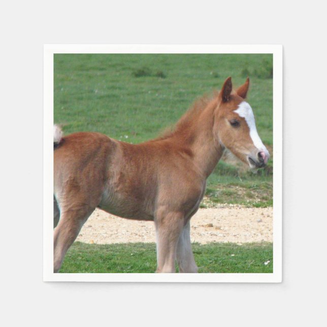 Guardanapo De Papel Cavalo (Frente)