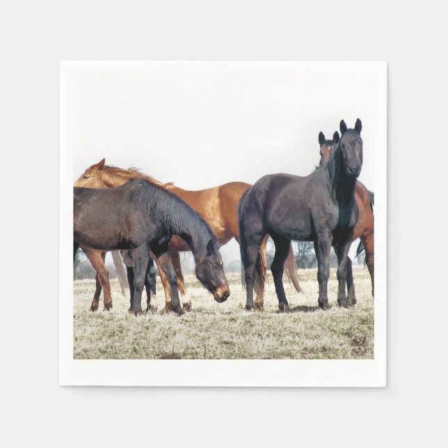 GUARDANAPO DE PAPEL CAVALOS (Frente)