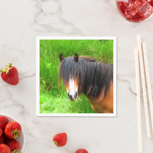 GUARDANAPO DE PAPEL CAVALOS (Insitu)