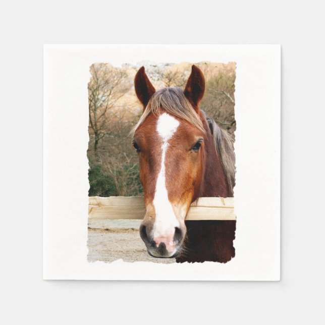 GUARDANAPO DE PAPEL CAVALOS (Frente)