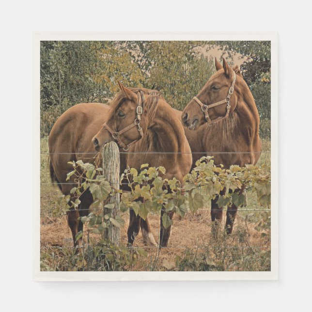 Guardanapo De Papel Cavalos Lados-a-Lado - Nápoles-Papel (Frente)