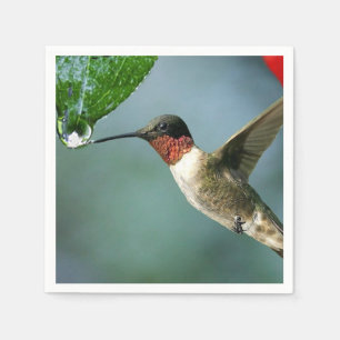 Guardanapo De Papel Cenário bonito da natureza do colibri