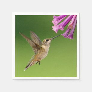 Guardanapo De Papel Cenário bonito da natureza do colibri