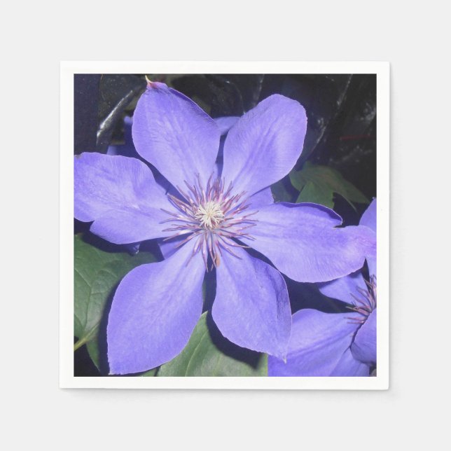 Guardanapo De Papel Césarine (Frente)