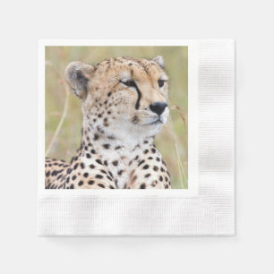 Guardanapo De Papel Cheetah