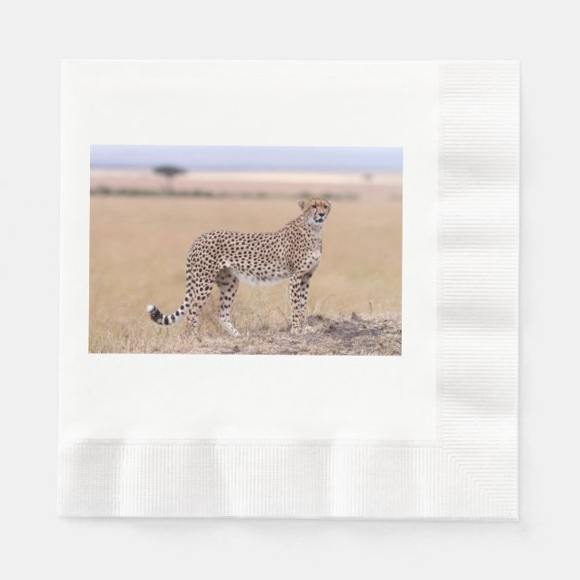 Guardanapo De Papel Cheetah (Frente)