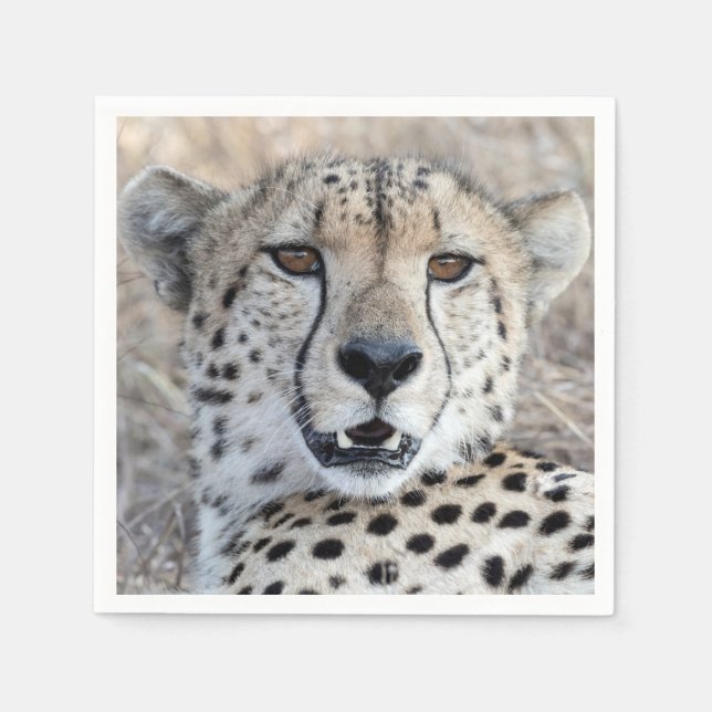 Guardanapo De Papel Cheetah Portrait (Frente)