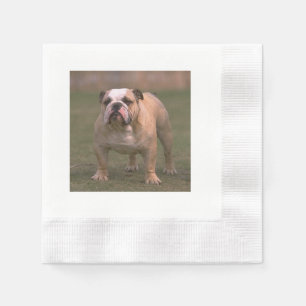 Guardanapo De Papel cheio 2.png do buldogue