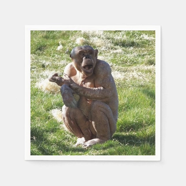 GUARDANAPO DE PAPEL CHIMPANZEE (Frente)