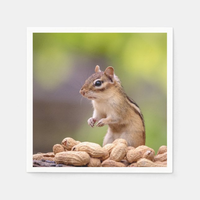 Guardanapo De Papel Chipmunk com amendoins (Frente)