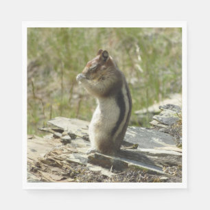 Guardanapo De Papel Chipmunk no Parque Nacional Glacier II