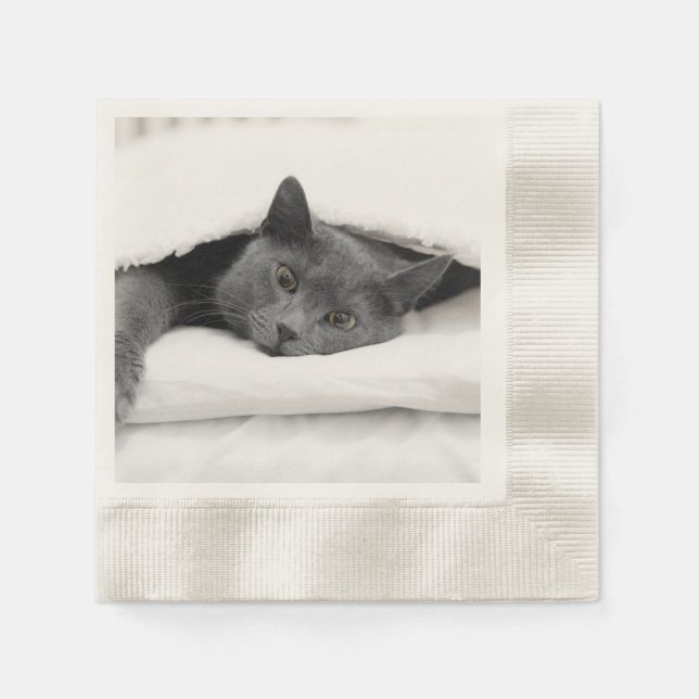 Guardanapo De Papel Cinza Gato Sob Cobertura Branca (Frente)