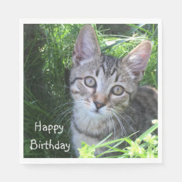 Guardanapo De Papel Cinza Tabby Cat Birthday