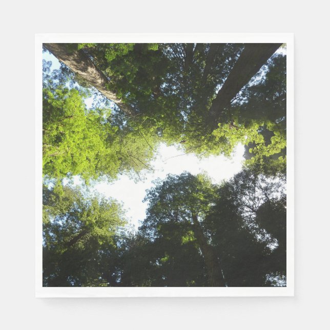 Guardanapo De Papel Círculo de Sequoias Vermelhas no Parque Nacional d (Frente)