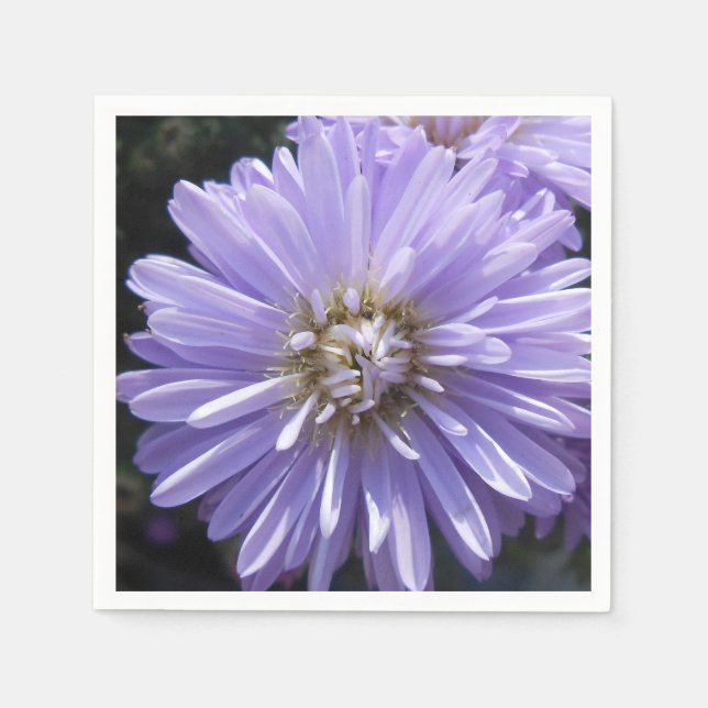 Guardanapo De Papel Cireno (Frente)