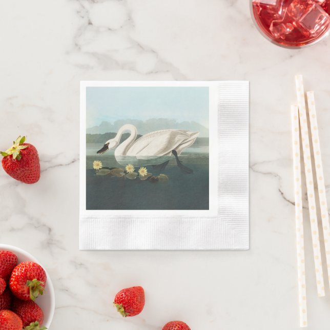 Guardanapo De Papel cisnes brancas de pássaro de audubon do cisne (Insitu)