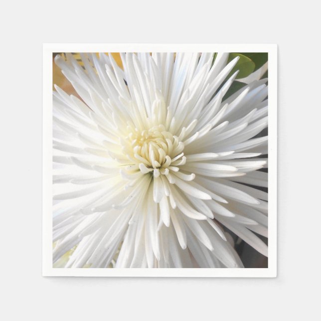 Guardanapo De Papel Claricia (Frente)