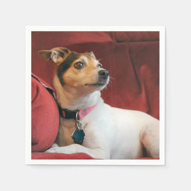 Guardanapo De Papel Clássico (Frente)