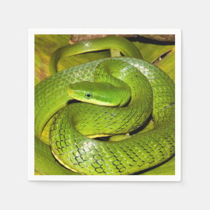 Guardanapo De Papel Cobra de rato verde de Bush