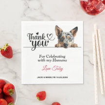 Cocktail de Casamento de Cachorro Australiano