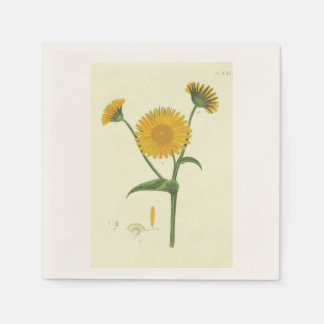 Guardanapo De Papel Cocktail Napkin