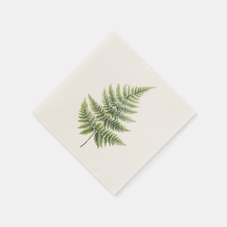 Guardanapo De Papel Cocktail Napkin - Elegante Design Fern