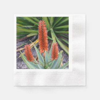 Guardanapo De Papel Cocktail Napkins Suculto