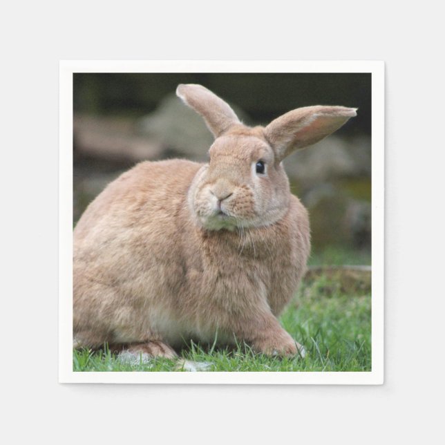 Guardanapo De Papel Coelhinho de gengibre bonito com orelhas grandes (Frente)