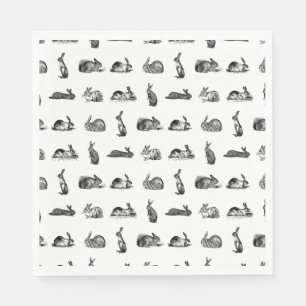 Guardanapo De Papel Coelhos Vintage Coelhos Clássicos COR BG PERSONAL
