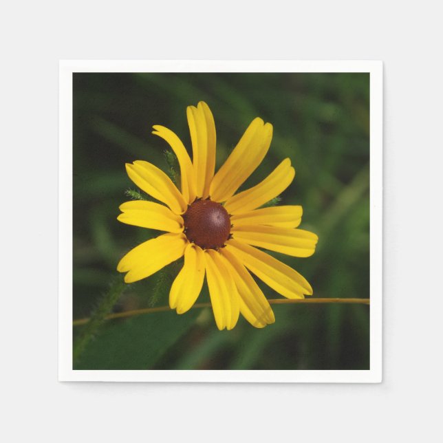 Guardanapo De Papel Coleção de Jardins Flores 8 (Frente)