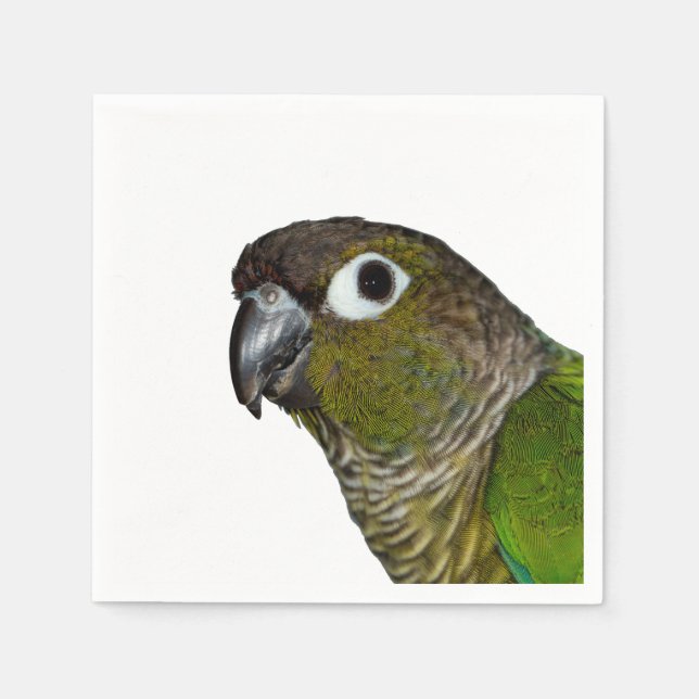 Guardanapo De Papel Conure de Olho Verde (Frente)