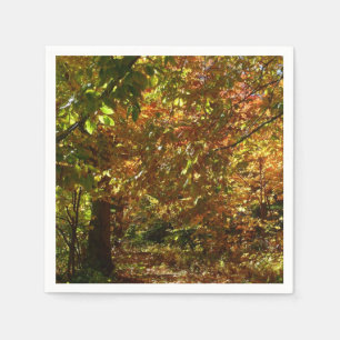 Guardanapo De Papel Cópias de Folhas de outono Fotografia de outono A