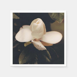 Guardanapo De Papel Coquetel Napkins com Design Magnolia Blossom