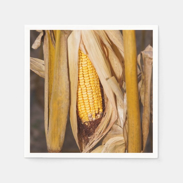 Guardanapo De Papel Corn Cobb On Stalk (Frente)