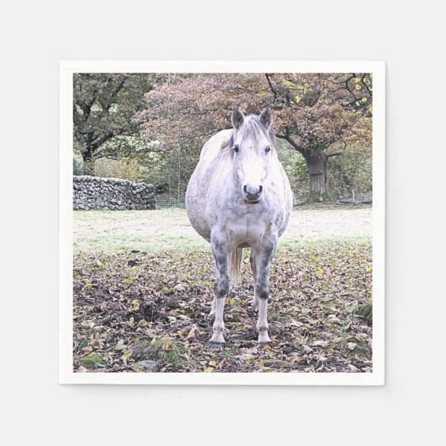 GUARDANAPO DE PAPEL CORTE HORSE (Frente)