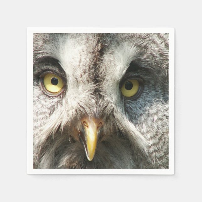 Guardanapo De Papel Coruja (Frente)