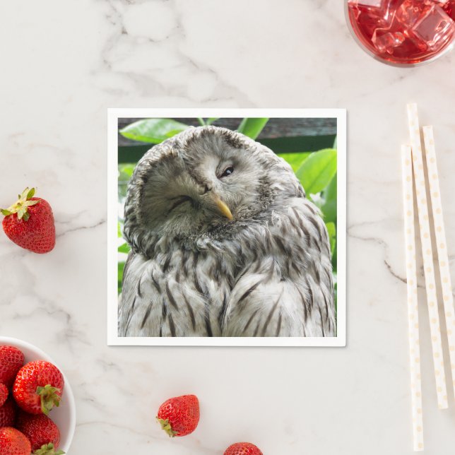 GUARDANAPO DE PAPEL CORUJA (Insitu)