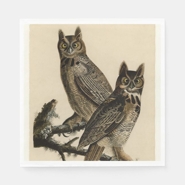 Guardanapo De Papel Corujas excelentes (por John James Audubon) (Frente)