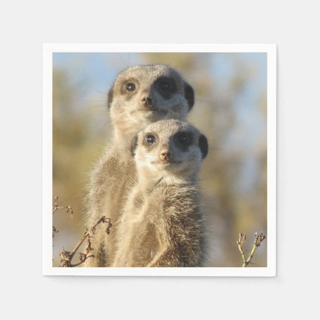Guardanapo De Papel Couple of Meerkats Photo (Frente)