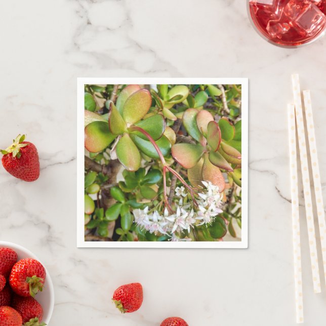 Guardanapo De Papel Crassula ovata Paper Napkins (Insitu)