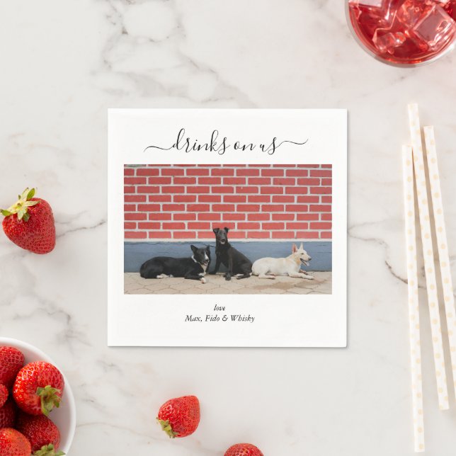 Guardanapo De Papel Custom Wedding 3 Dogs Drinks on Us Pet Fun Photo (Insitu)
